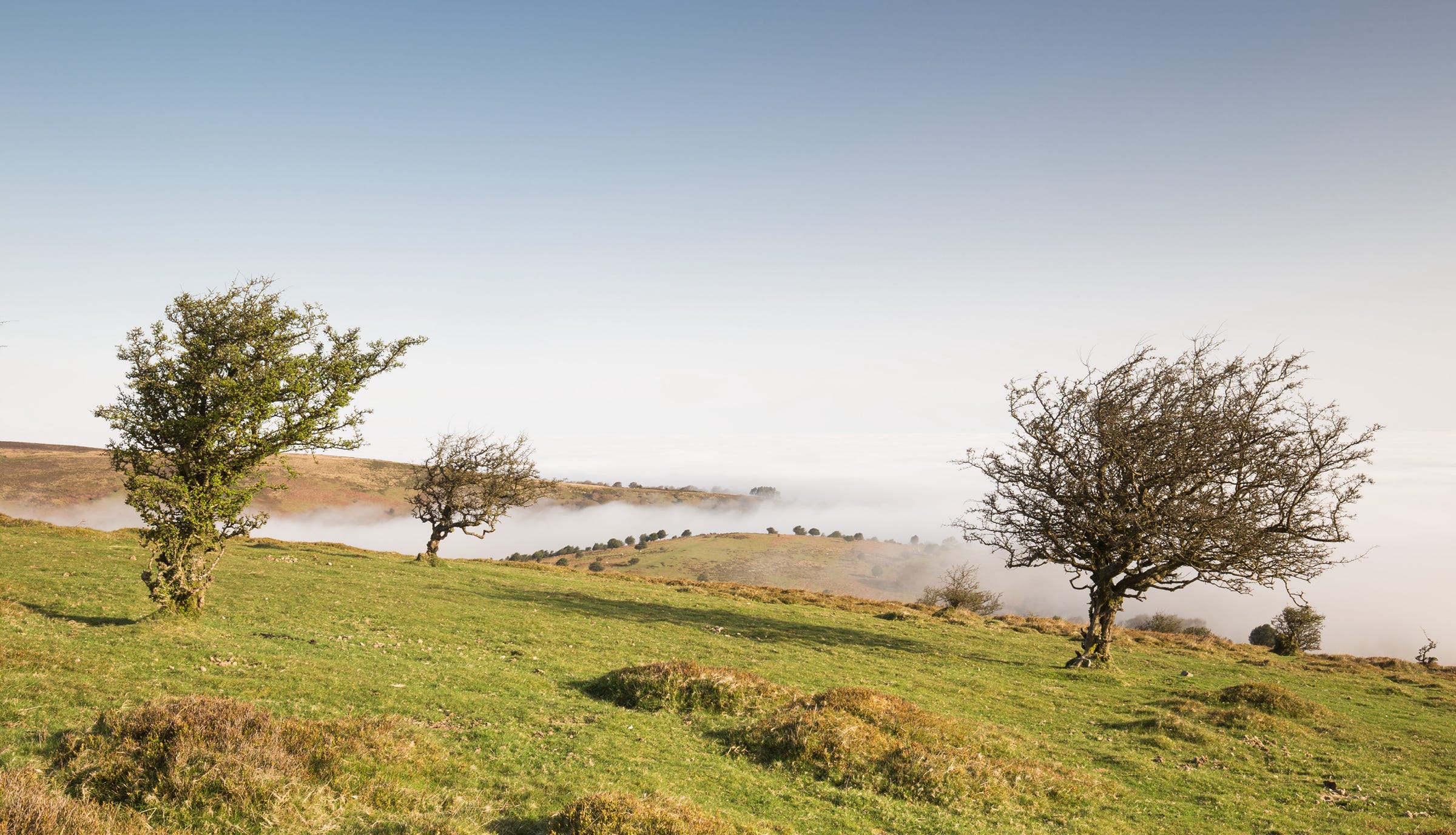 Quantock Hills, Somerset, an area served by Calder Mullis Family Solicitors.